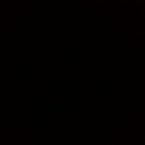 Meet your Posher, Payton